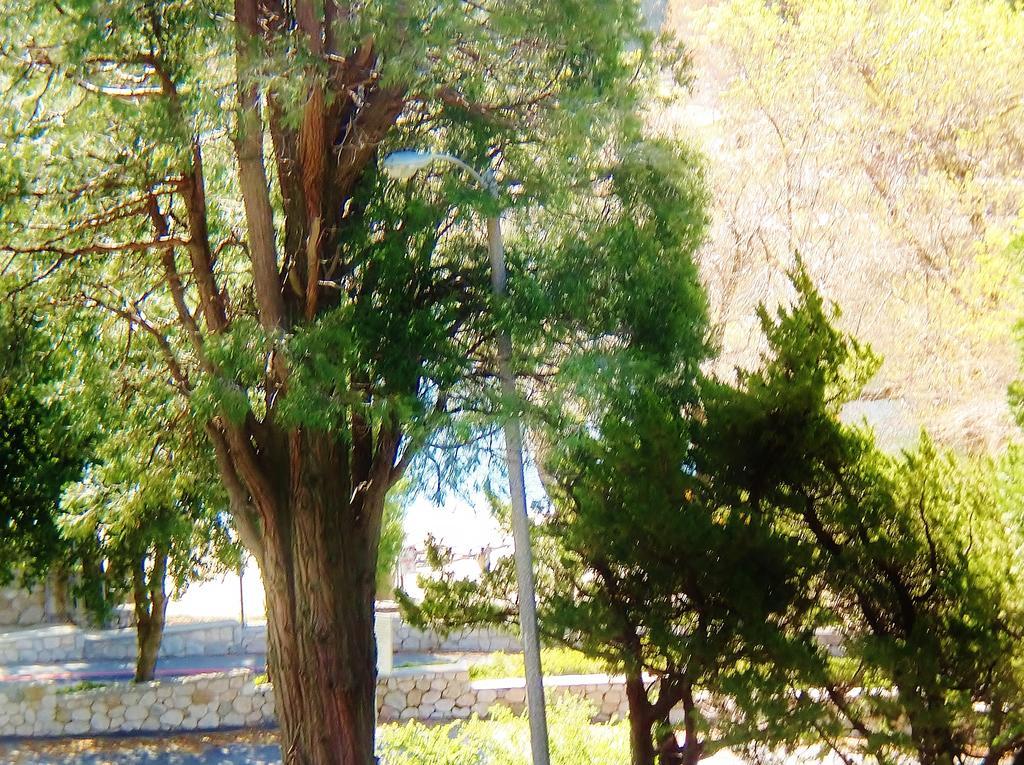 The North Shore Inn Crestline Exterior foto