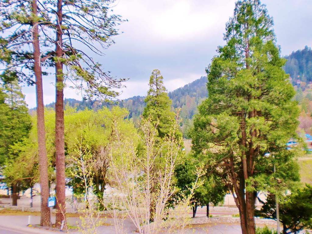 The North Shore Inn Crestline Exterior foto